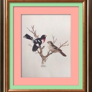 Vintage 1978 "Rose Breasted Grossbeaks" Birds Art Print